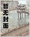 将军的秘密 作家:水三金